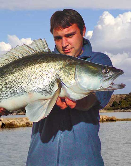 Proč si vybrat rybářský kemp Camp Ebro English speaking fishing guide