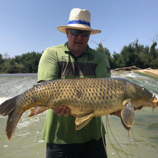 Fotogalerie Camp Ebro Catches in campsite in 2019